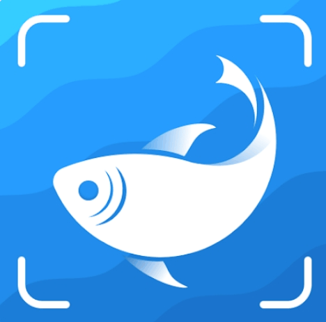 Picture Fish