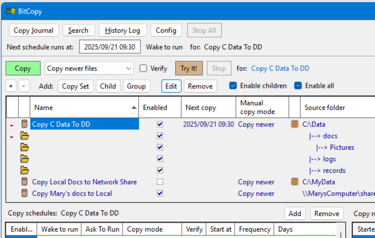 BitCopy screenshot