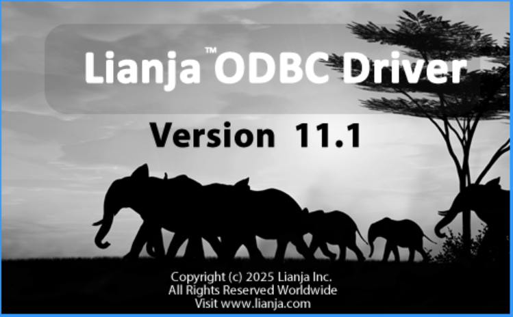 Lianja ODBC Data Source Manager screenshot