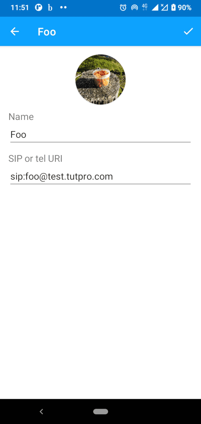 baresip screenshot
