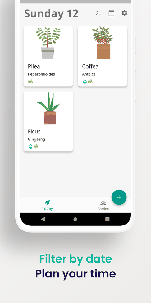 Florae screenshot