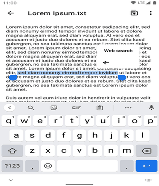 Select Text to Search screenshot