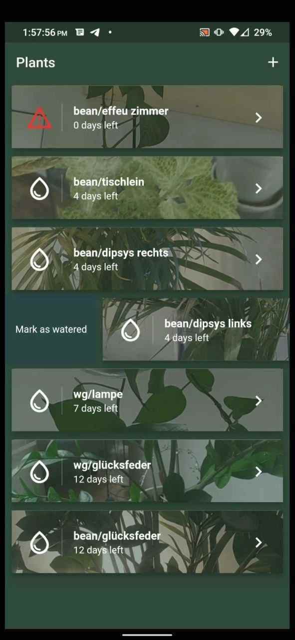 Water Me screenshot