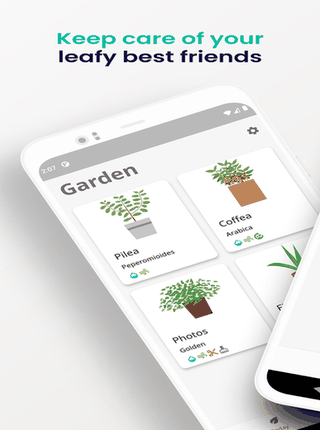 Florae screenshot