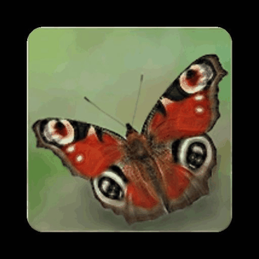 TransektCount