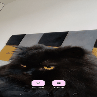 Mirror screenshot