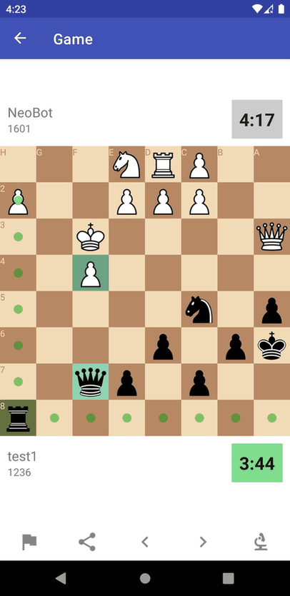 Flang screenshot
