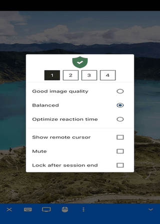 RustDesk screenshot