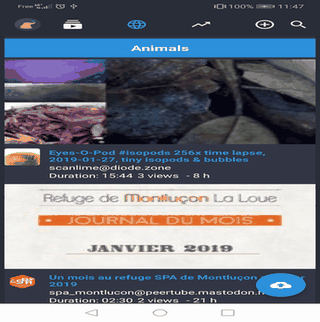 Fedilab screenshot
