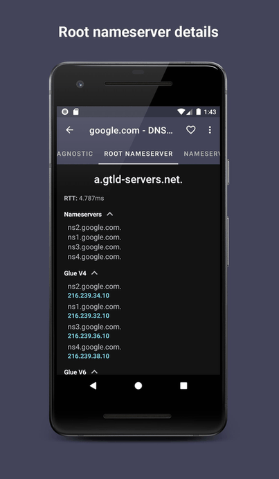 DNS Hero screenshot