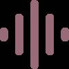 Audio Notes