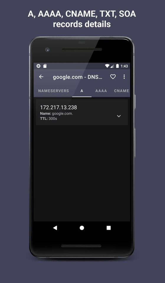 DNS Hero screenshot