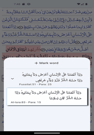 Quran 16 Line screenshot