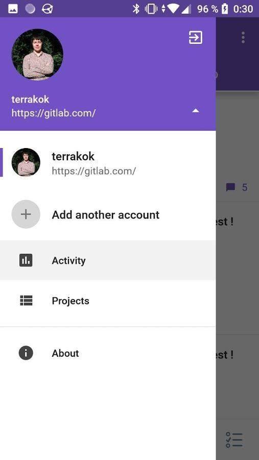GitFox screenshot