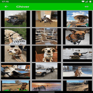 Chiver screenshot